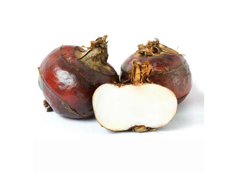 马蹄 water chestnut