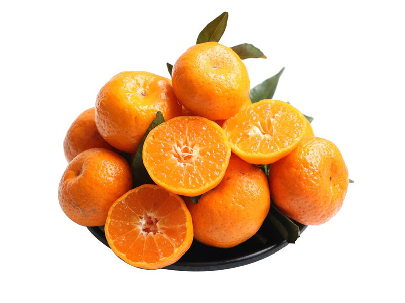 砂糖橘 Sugar baby mandarin