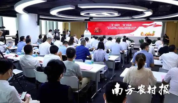 12家单位荣获“2020广东荔枝‘12221’市场营销突出贡献者”称号！