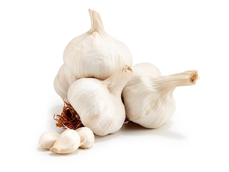 大蒜 garlic