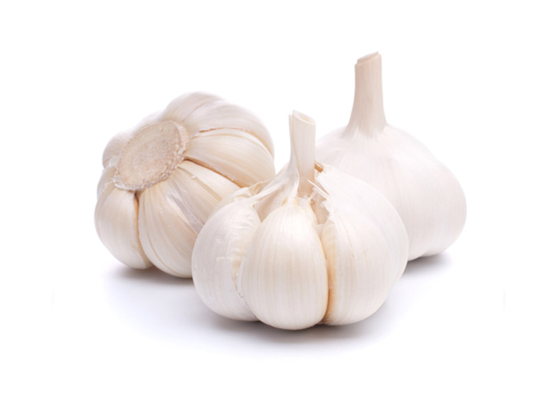 大蒜 garlic