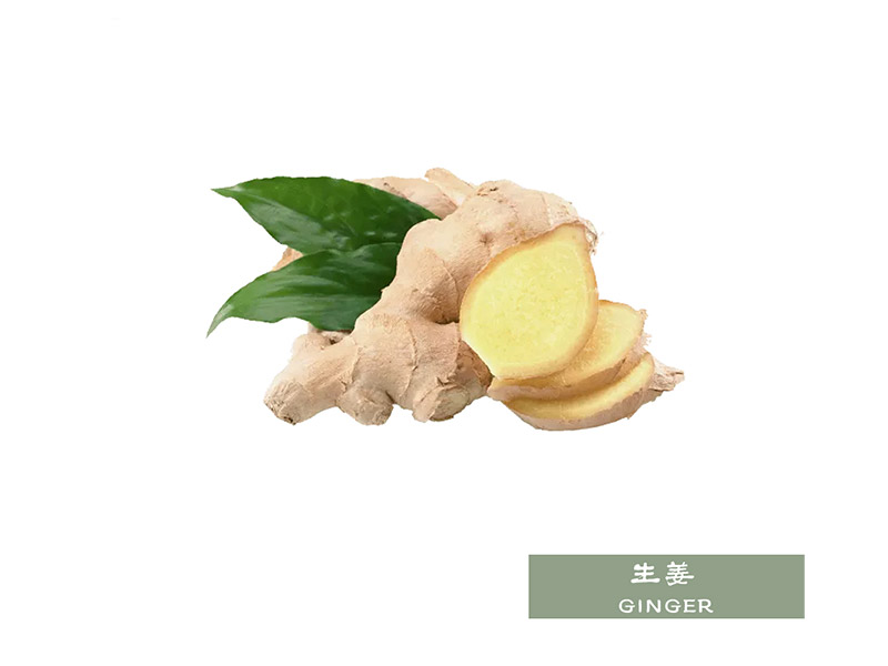 生姜 ginger