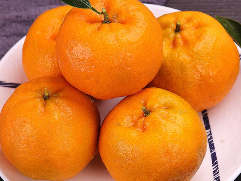 椪柑  Ponkan mandarin